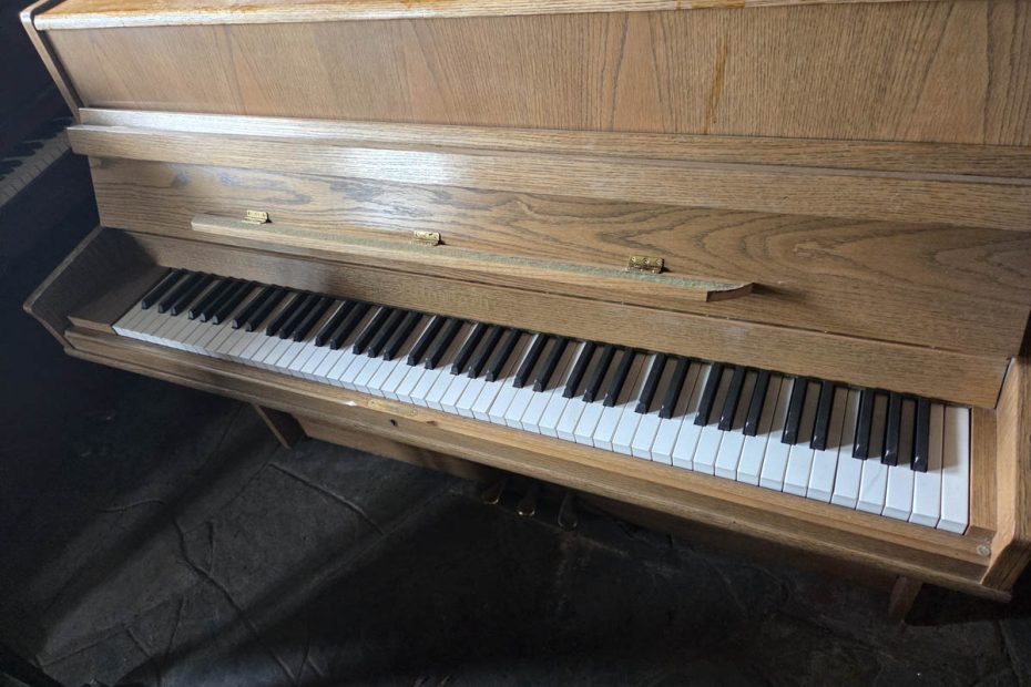 Otto Bach Upright Piano (DE393)